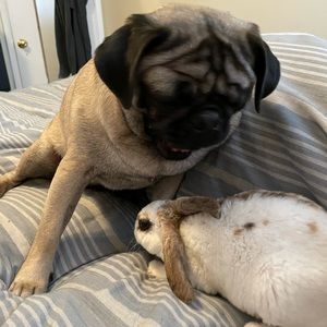 Meet your Posher, Heidi